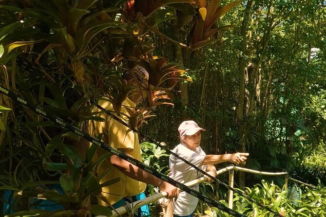 Luxury Private Tour in ST.Thomas(6per group) - What the guide can change for you