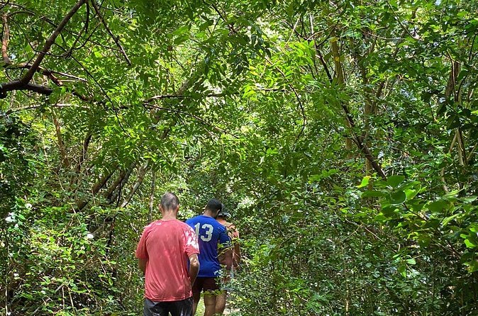 Magens Bay Trail Hiking Tour - Who should book this hike?