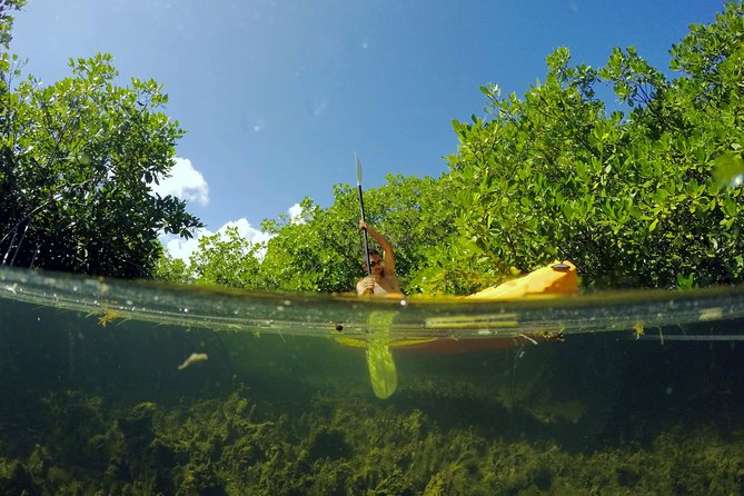 Magic Mangrove Paddle in Beef Island Lagoon - Meeting in Road Town and reaching the water