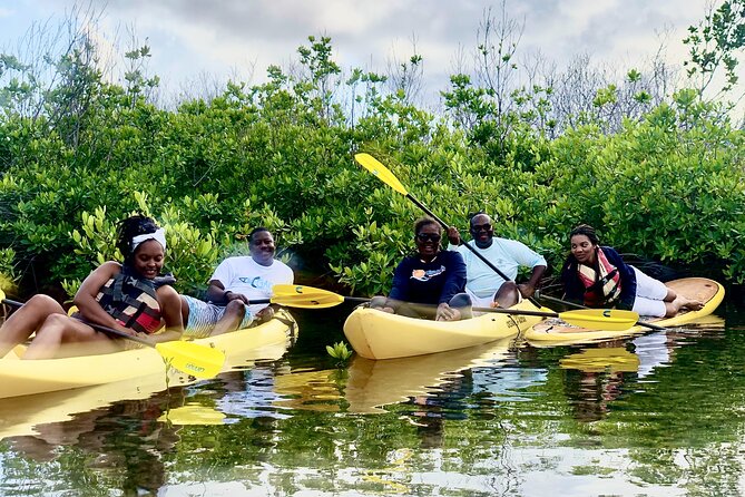 Magic Mangrove Paddle in Beef Island Lagoon - A coral atoll and the story of the islands