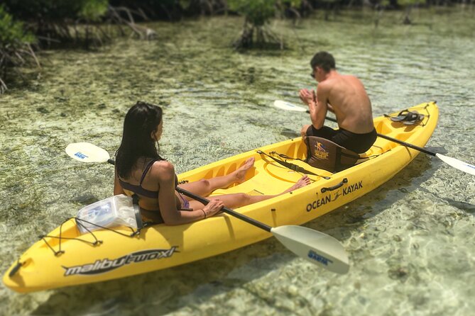 Magic Mangrove Paddle in Beef Island Lagoon - The return paddle and the right pace