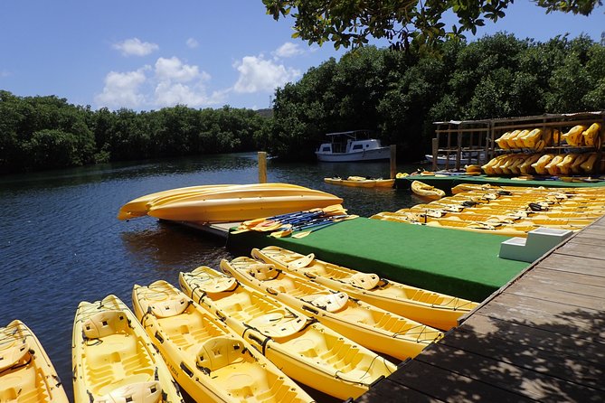 Mangrove Lagoon Kayak Rental in St Thomas - A quiet water route through St Thomas Mangrove Lagoon