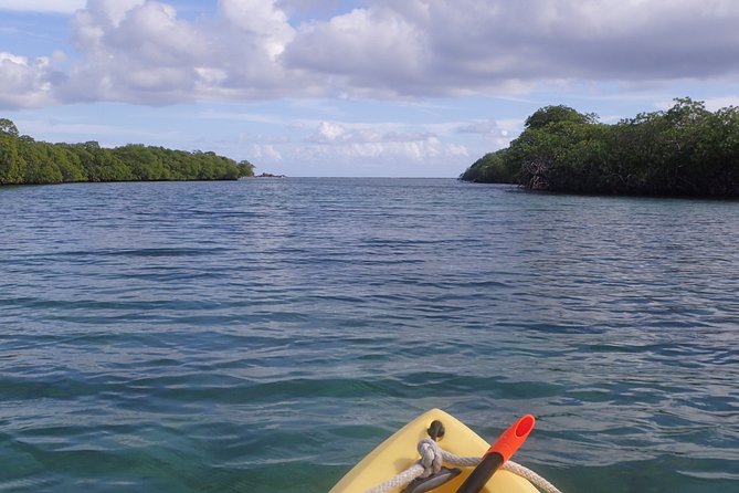 Mangrove Lagoon Kayak Rental in St Thomas - Choosing between a single and double kayak