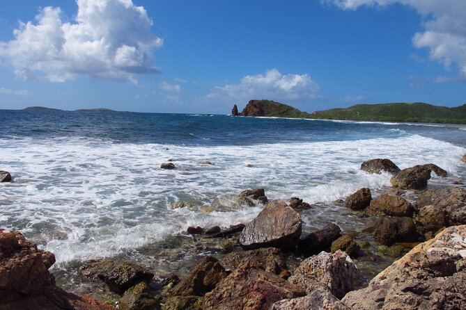 Mangrove Lagoon Kayak Rental in St Thomas - Snorkeling along the mangrove roots