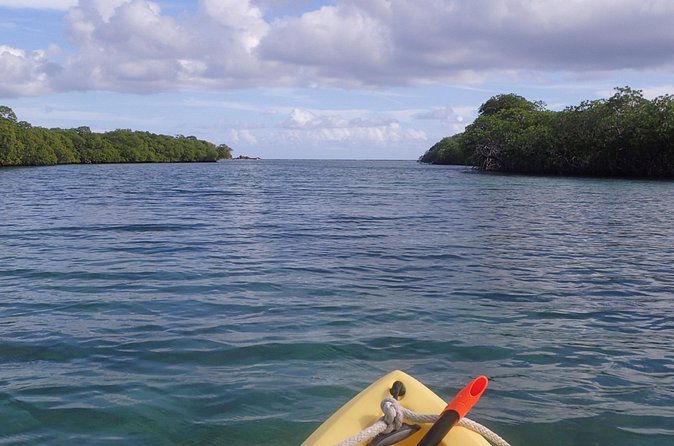 Mangrove Lagoon Kayak Rental in St Thomas - The value of a $69 rental