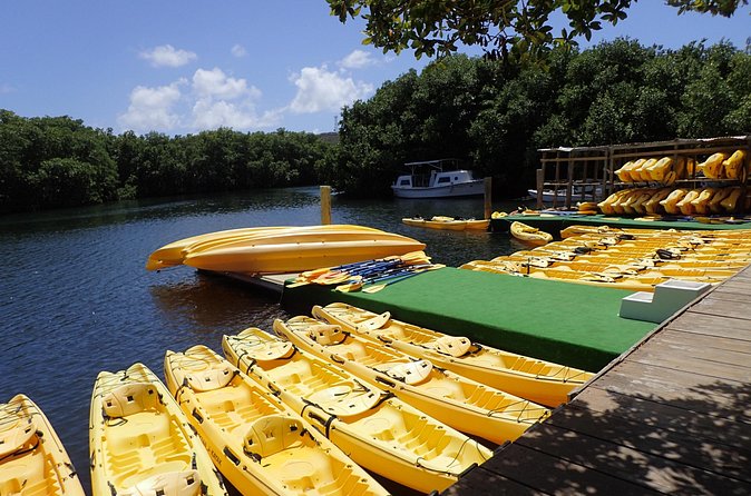 Mangrove Lagoon Kayak Rental in St Thomas - Who will enjoy this most