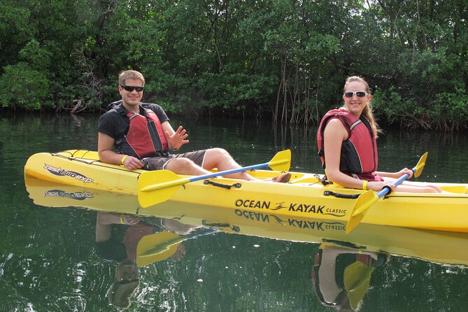 Mangrove Lagoon Kayak Rental in St Thomas - Why the mangroves are the main attraction