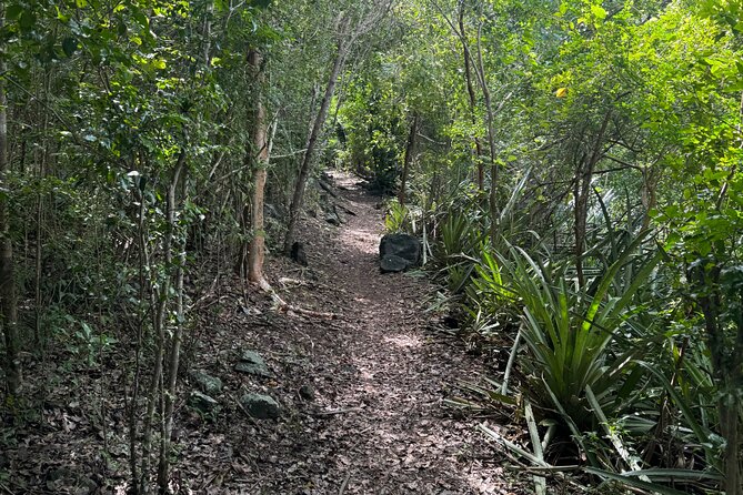 Mount Alma Hike And Beach Excursion (cruise ship friendly ) - The Beach Stop: 90 Minutes Near Clear Water