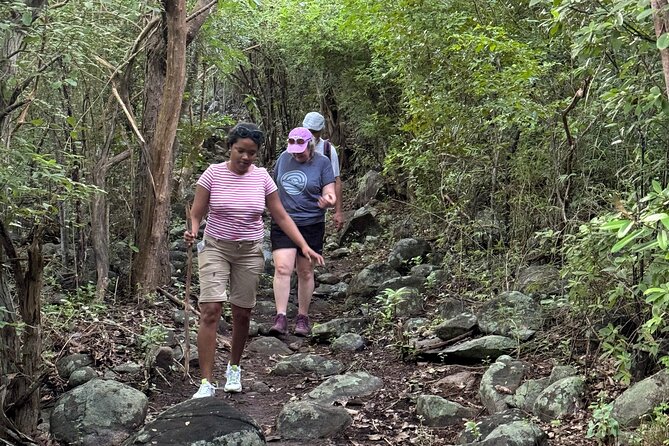Mount Alma Hike And Beach Excursion (cruise ship friendly ) - The 30-Minute Ride Back to the Cruise Pier