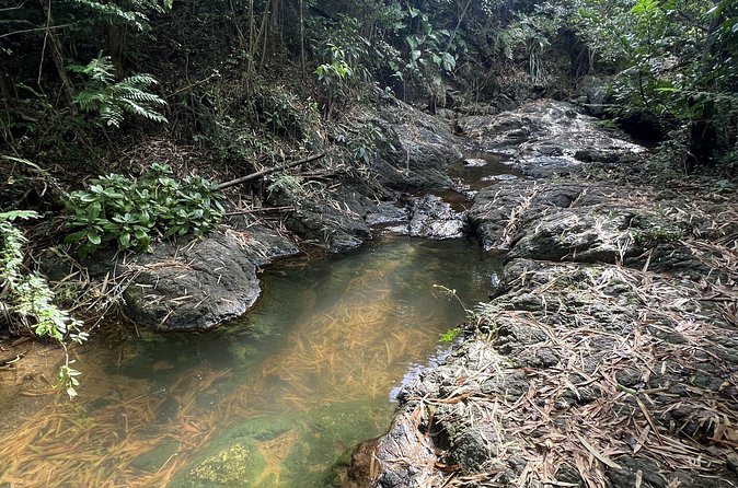 Mount Healthy National Park Private Hike Tour in Tortola - Who will enjoy this Mount Healthy outing?