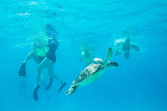 National Park Snorkeling Excursion - Key details before you book