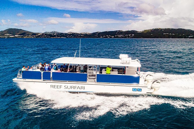 National Park Snorkeling Excursion - Second stop: different scenery and a better chance at variety