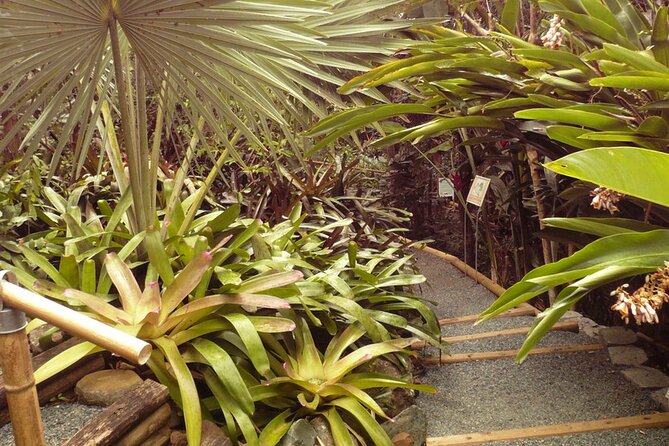Nature and Sightseeing at Phantasea Tropical Botanical Garden - Is $15.80 a good value?