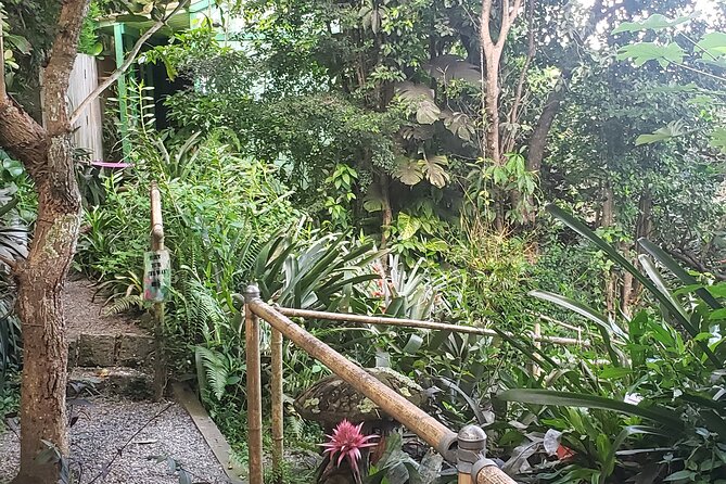 Nature and Sightseeing at Phantasea Tropical Botanical Garden - Good fit for a quiet morning in St. Thomas