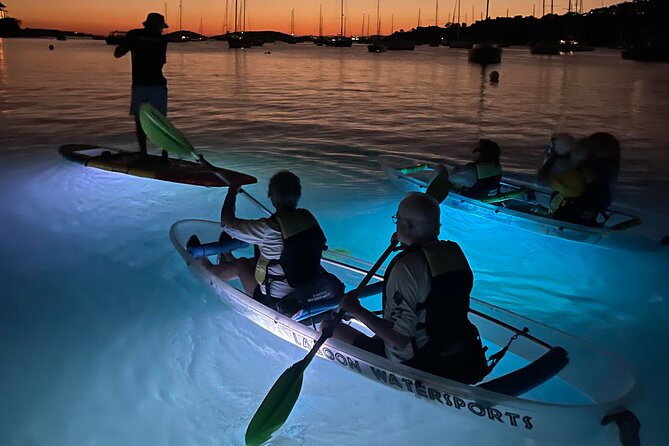 Night Kayak Tour St. John - Westin Resort - Tarpon, Stingrays, and the Luck Factor