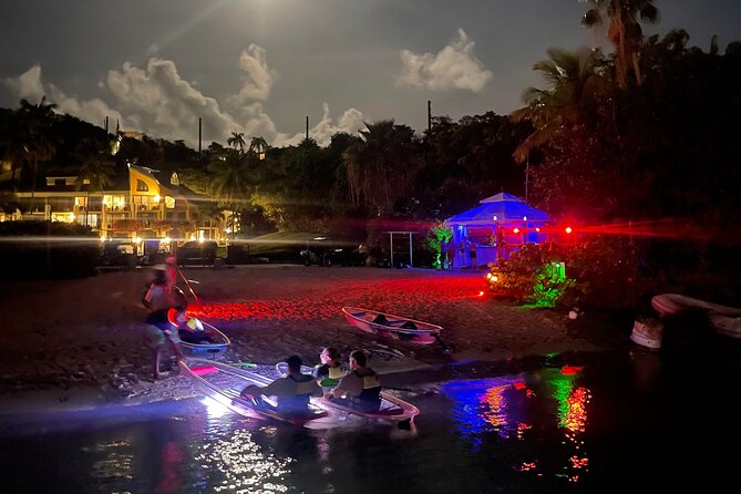 Night Kayak Tour St. John - Westin Resort - Is $69 a Good Value?
