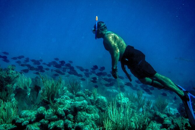 Norman Island - The Caves & The Indians - Sailing & Snorkel Tour - What the group size means at $208