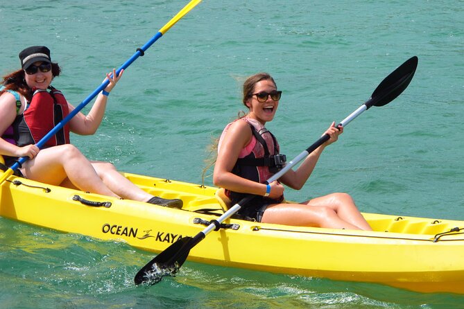 On Your Own: Kayak in the Mangrove Lagoon - Key points at a glance