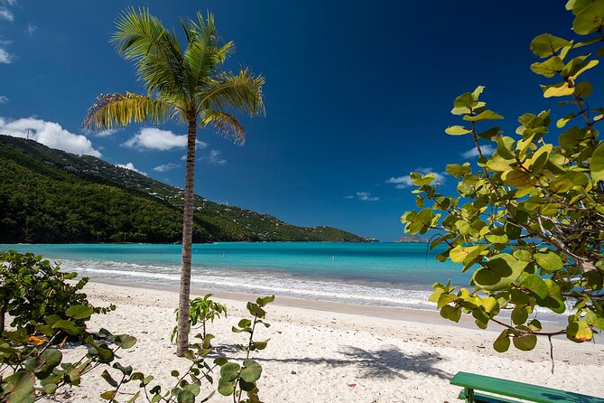 Paradise Taxi & Tours USVI-St.Thomas-Virgin Islands-Island Magen's Beach Tour - Key points to know before you book
