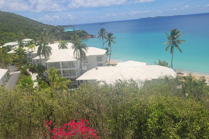 PARADISE TAXI & TOURS USVI-Transport Frenchmans Reef / Buoy Haus - The airport construction warning matters