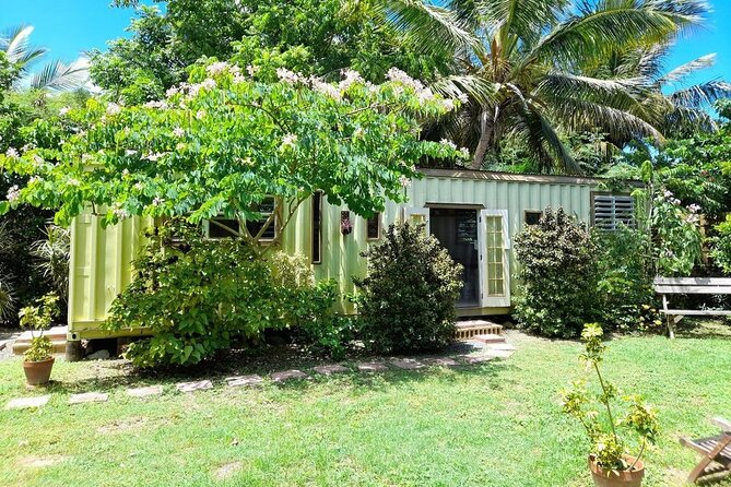 Private Art & Culture Tour in Tortola Virgin Islands - Who will get the most from this experience
