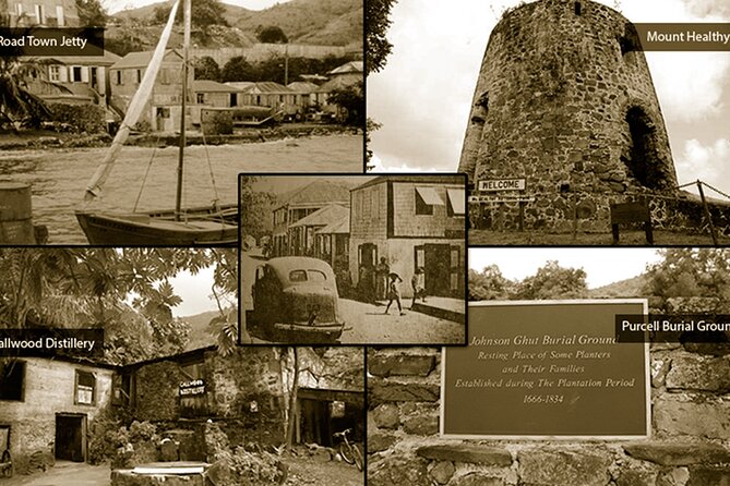 Private Art & Culture Tour in Tortola Virgin Islands - Practical planning for your half-day