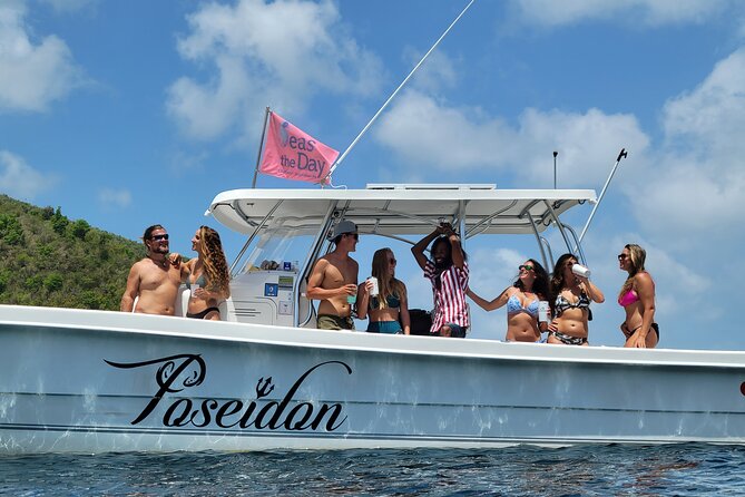 Private Fast Power Catamaran. Full or Half Day for Beach Hopping, Snorkel & Swim - Meeting at Red Hook and making the day run smoothly
