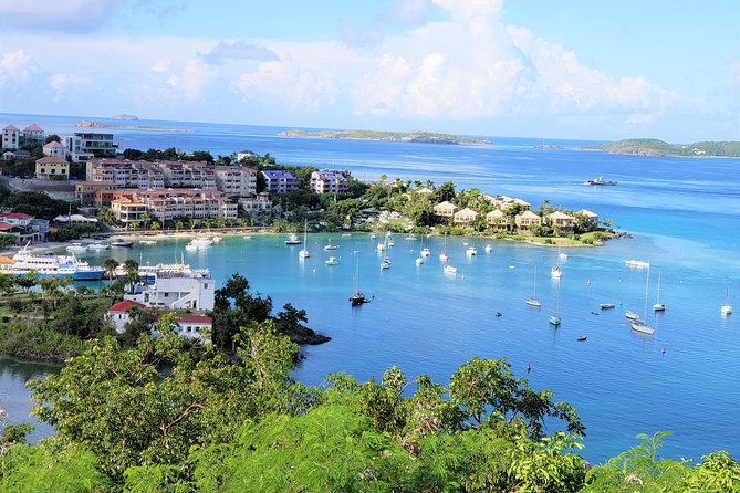 Private Four Hour Historic/Beach Tour with Star Fish Tours & Taxi - Maho Bay Is the Strongest Wildlife Stop