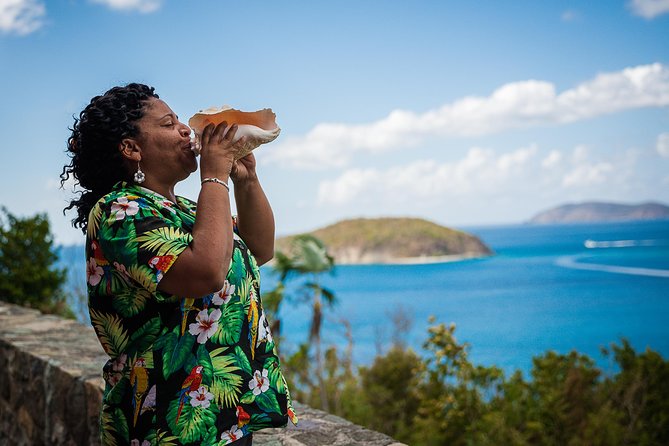 Private Four Hour Historic/Beach Tour with Star Fish Tours & Taxi - Why the Private Format Can Be Worth the Cost