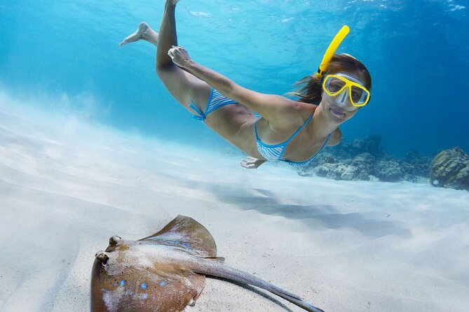 Private Full Day BVI Boat Charter Aboard MV Aquarius - Norman Island and the Indians for snorkeling