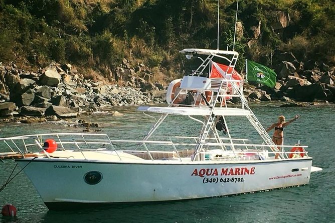 Private Full Day Guided Snorkeling or Diving Charter in St Thomas - Christmas Cove and the best chance for animal sightings