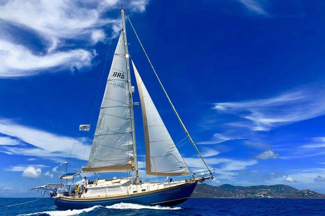 Private Full Day Sail/ Snorkel Experience USVI (Sapphire Marina, STT pick up) - Key points to know before booking