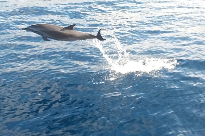 Private Full Day Sail/ Snorkel Experience USVI (Sapphire Marina, STT pick up) - Timing, weather, and cancellation terms