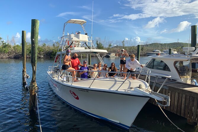 Private Half-Day Guided Snorkeling Charter in St. Thomas - Christmas Cove offers an inviting first swim