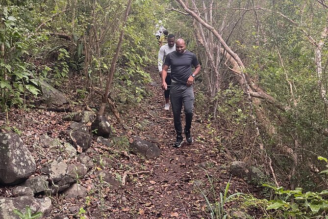 Private Hiking Tour in British Virgin Island with the Best 360 View - Starting at Trellis Bay Market Bar & Grill