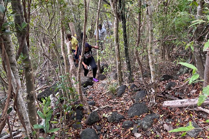 Private Hiking Tour in British Virgin Island with the Best 360 View - How the tour compares with a ship excursion