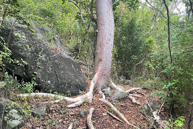 Private Hiking Tour in British Virgin Island with the Best 360 View - Weather, cancellation, and practical planning