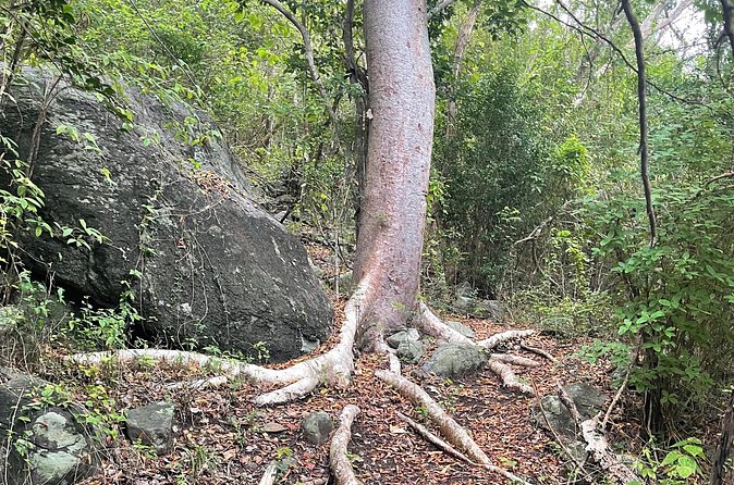 Private Hiking Tour in British Virgin Island with the Best 360 View - The summit reward and the 360-degree view