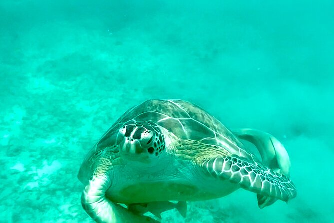 Private Luxury Catamaran Half Day Charter - Why this private St. Thomas charter feels different