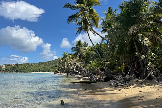 Private Open-Air Jeep Adventure with Tropic Sun –Hidden Beaches - Charlotte Amalie gets you oriented