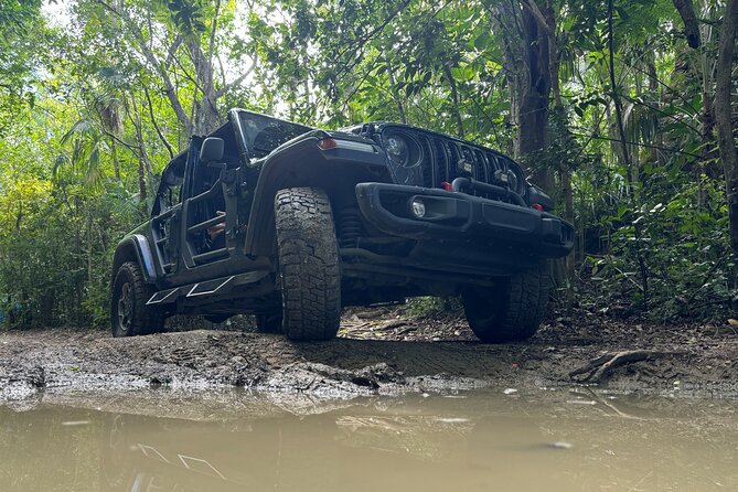 Private Open-Air Jeep Adventure with Tropic Sun –Hidden Beaches - Secluded coves are the heart of the experience