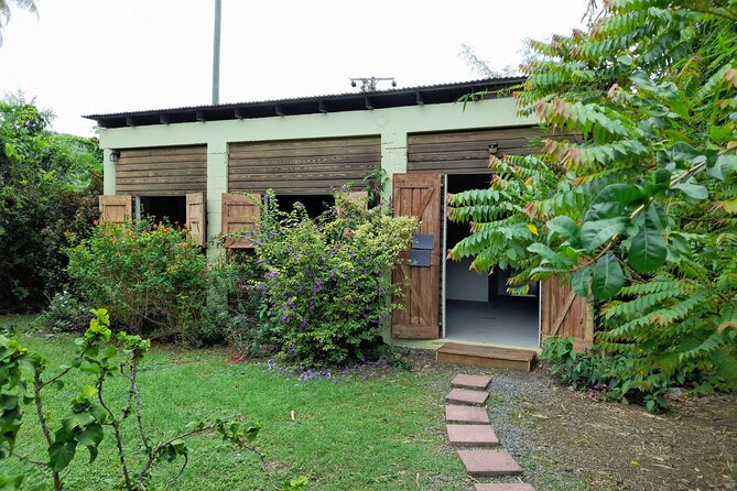 Private Pottery Experience at British Virgin Islands - Why the private format matters
