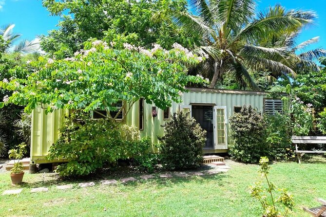 Private Pottery Experience at British Virgin Islands - Practical details before you book