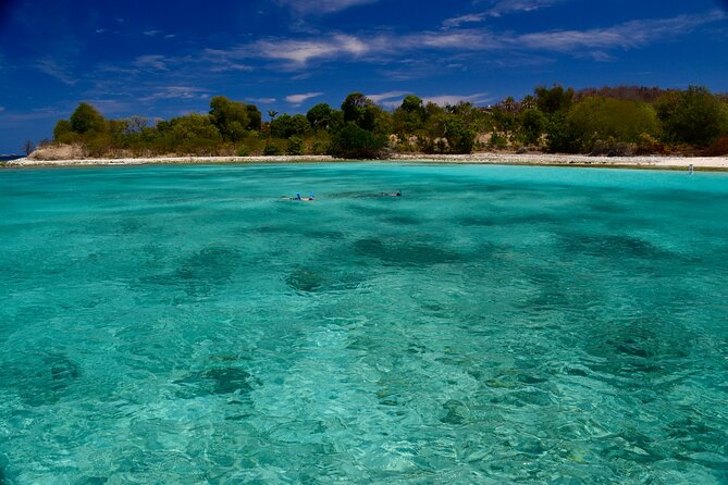 Private Power Catamaran. Secluded Beaches, Snorkeling, Turtles for Full/Half Day - Who Will Get the Most From This Charter