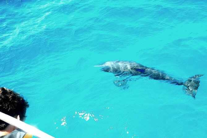 Private Sailing Tour of Pirate Waters and Shipwrecks - Key points to know before you book