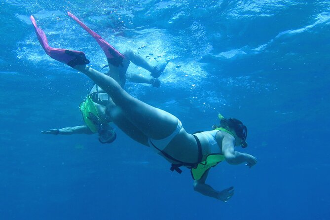 Reef and Turtle Adventure - Kayak and Snorkel Tour - Key points at a glance