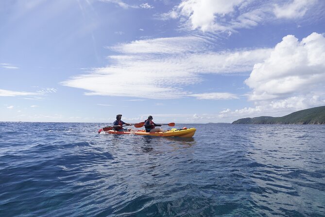 Reef and Turtle Adventure - Kayak and Snorkel Tour - Paddling lessons before the water work