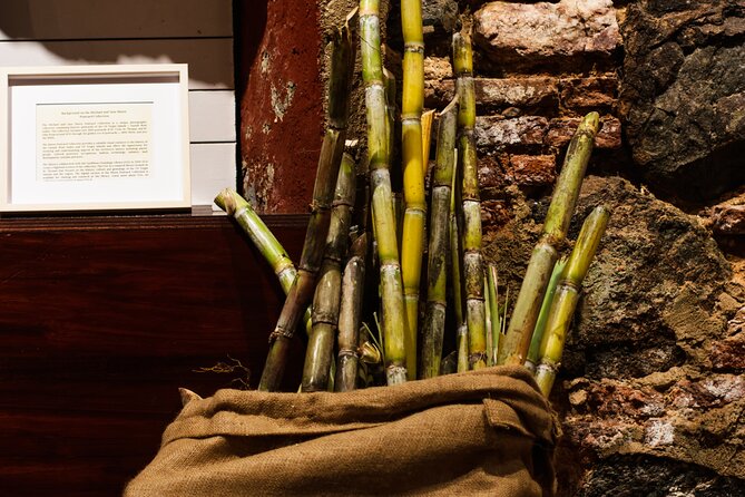 Rum Tasting Experience in the Old Barrel House - Who will enjoy this most?