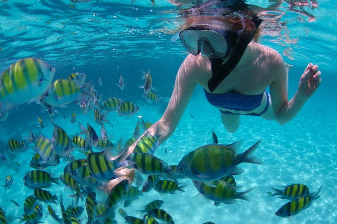 Sail/Snorkel Adventure from Sapphire Marina,STT NO CROWDS~ 6 GUEST MAX - Sailing toward Caneel Bay and nearby coves