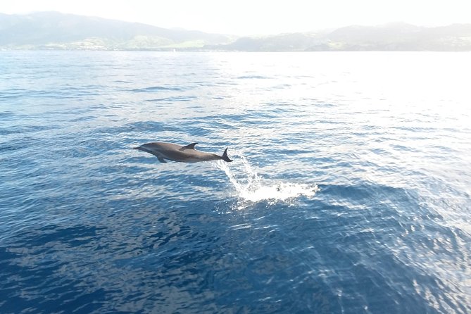 Sail/Snorkel Adventure from Sapphire Marina,STT NO CROWDS~ 6 GUEST MAX - About one hour in the water